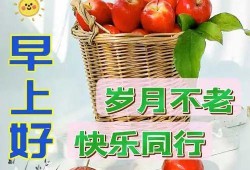 爆料提子视频大全最新下载,最新爆料提子视频大全下载攻略