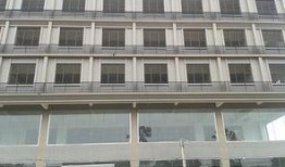 四会大沙镇爆料新闻最新,最新爆料揭示惊人真相